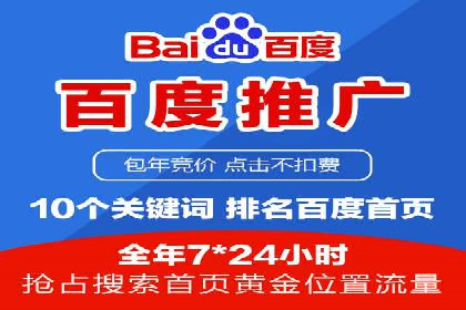 搜索引擎竞价推广：某行业领先企业的成功之路